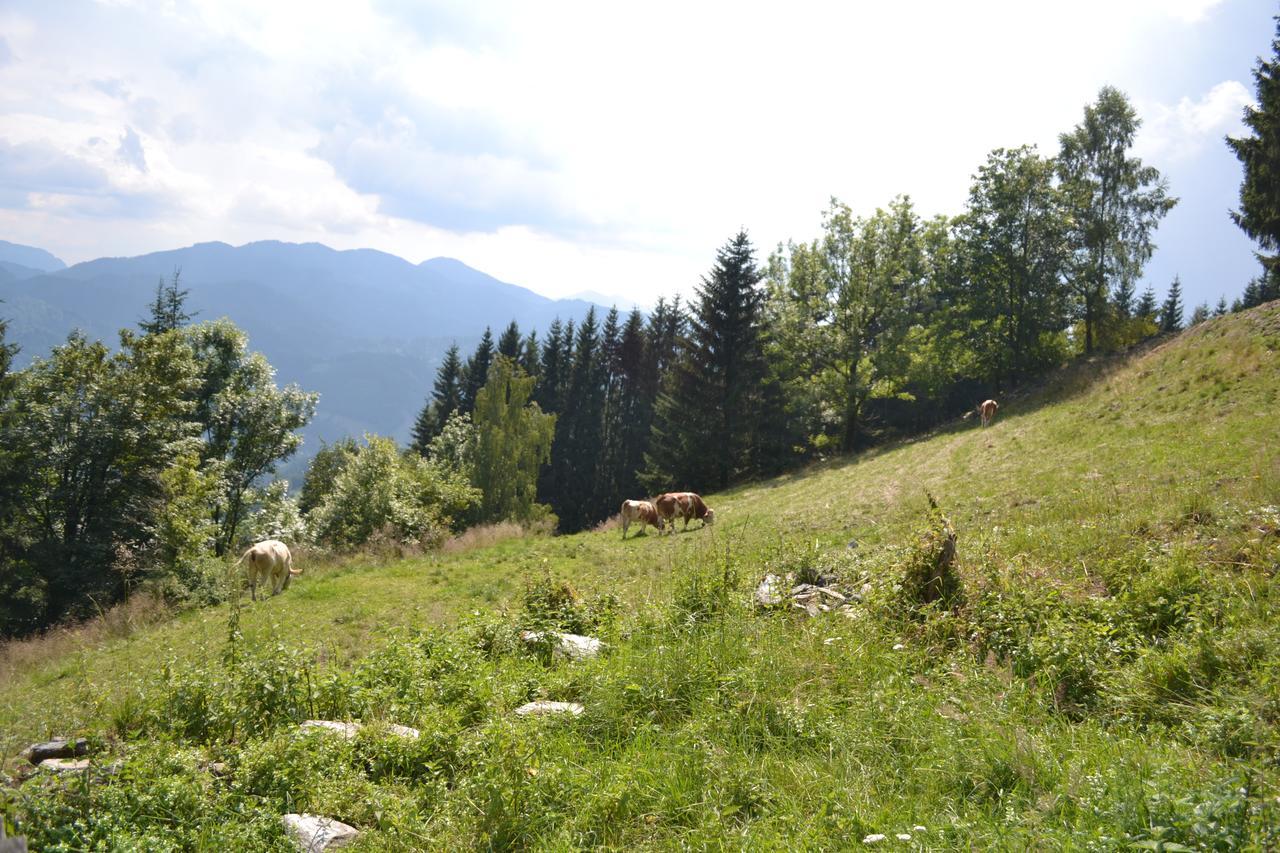 Gasthof Oberer Gesslbauer Stanz Im Murztal Luaran gambar