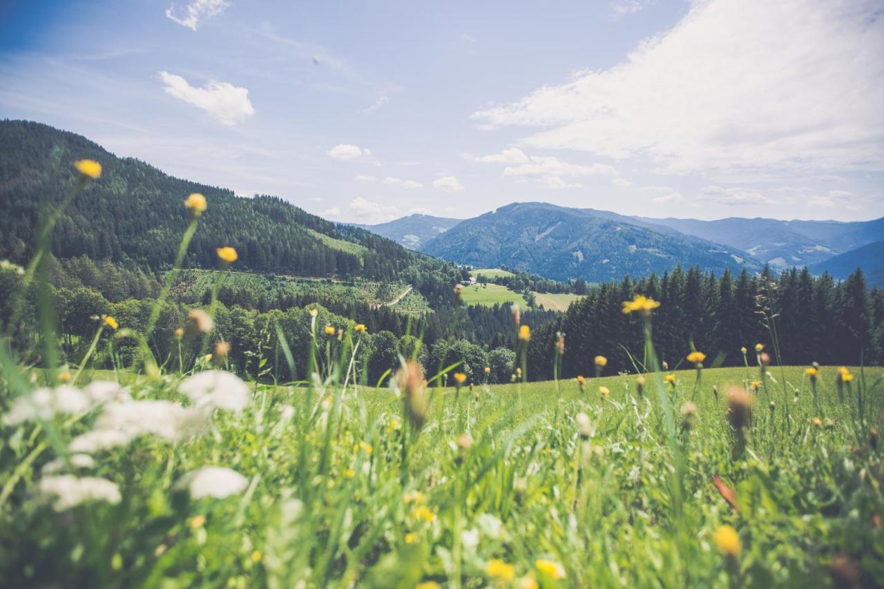 Gasthof Oberer Gesslbauer Stanz Im Murztal Luaran gambar