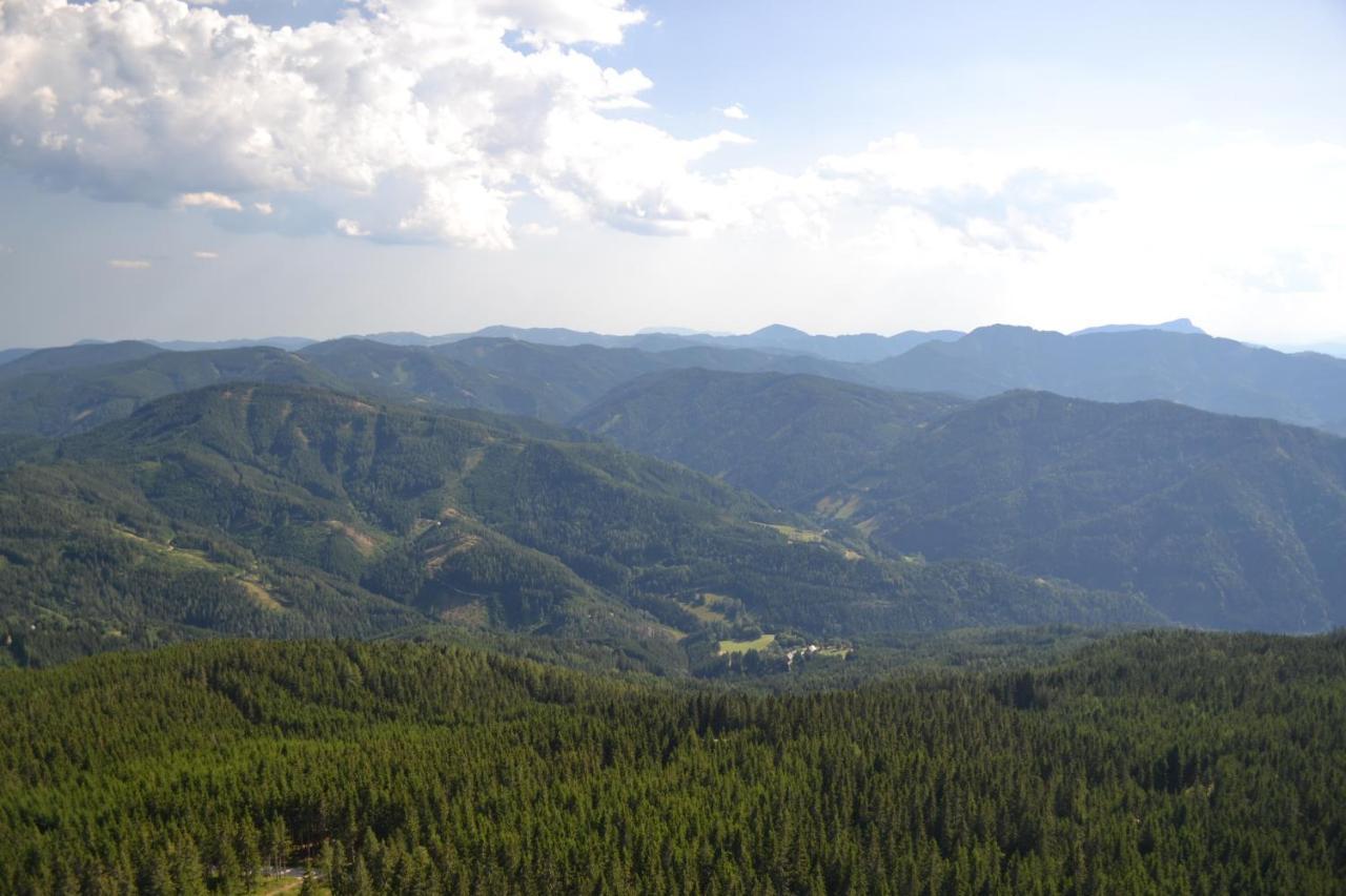Gasthof Oberer Gesslbauer Stanz Im Murztal Luaran gambar